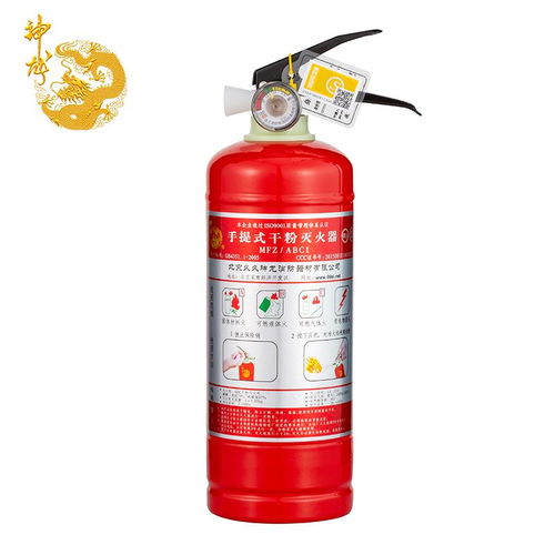 原价43现价38.5！神龙1公斤干粉灭火器 家庭与车载消防的必备之选